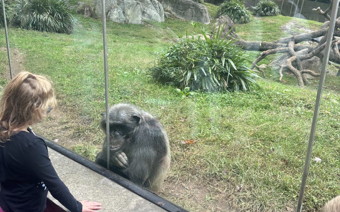 North Carolina Zoo Trip