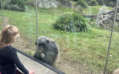 North Carolina Zoo Trip